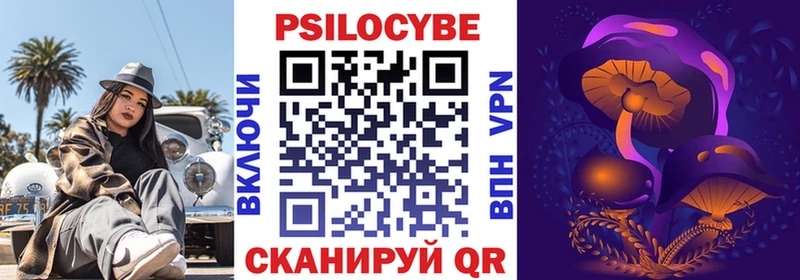 купить наркоту  Карачев  Псилоцибиновые грибы Psilocybine cubensis 