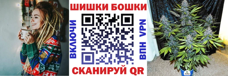 Бошки Шишки планчик  hydra зеркало  Карачев 